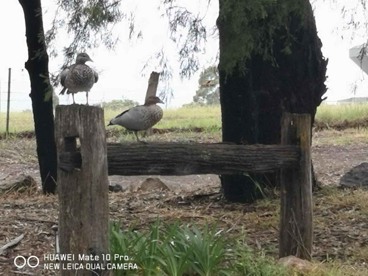 Kalimna Woods Cottages Lakes Entrance Luaran gambar