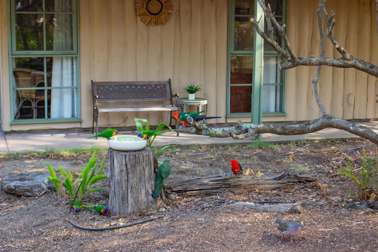 Kalimna Woods Cottages Lakes Entrance Luaran gambar