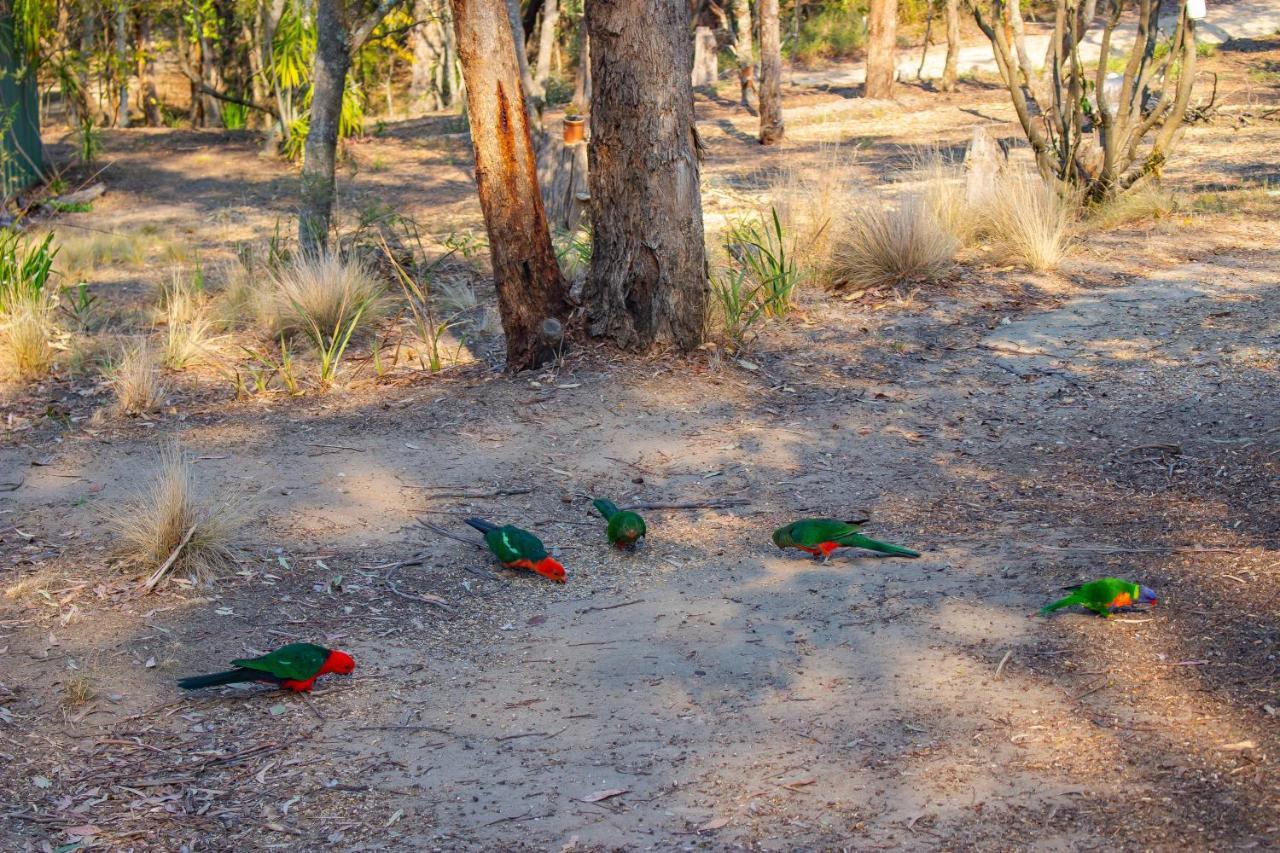 Kalimna Woods Cottages Lakes Entrance Luaran gambar