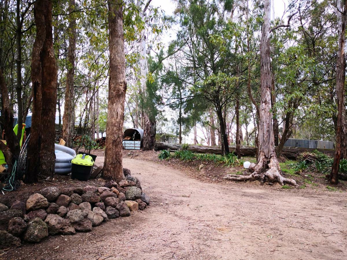 Kalimna Woods Cottages Lakes Entrance Luaran gambar
